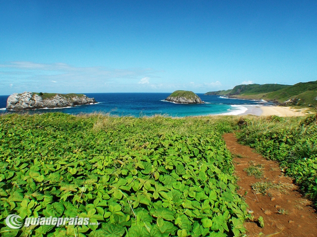 Praia do Leão | Foto de g