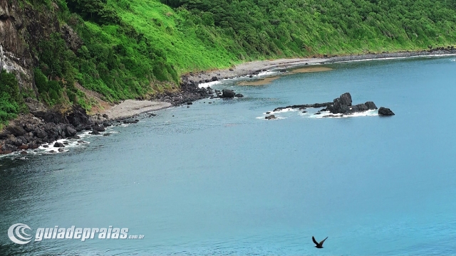 Baia dos Golfinhos | Foto de g