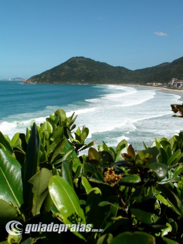 Praia Brava | Foto de g