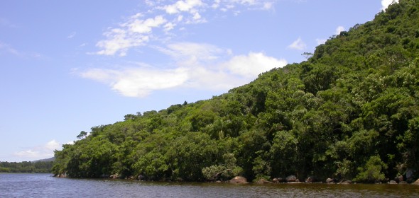 Foto destaque de 