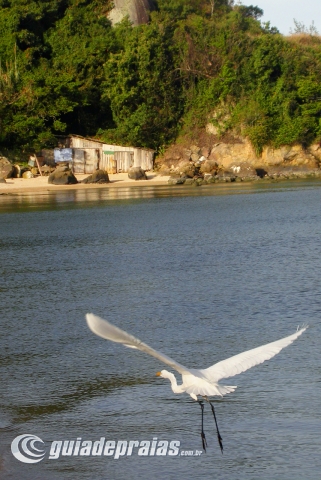 Continente - Praia do Meio | Foto de g