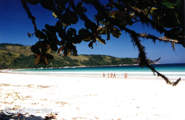 Lopes Mendes | Foto de g