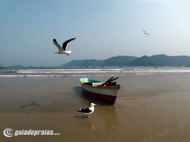 Pântano do Sul | Foto de g