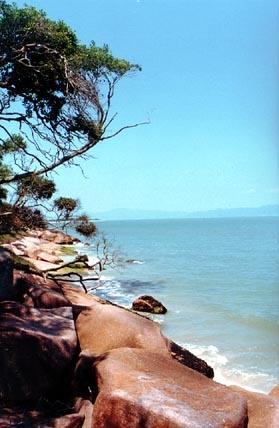 Praia do Forte | Foto de g