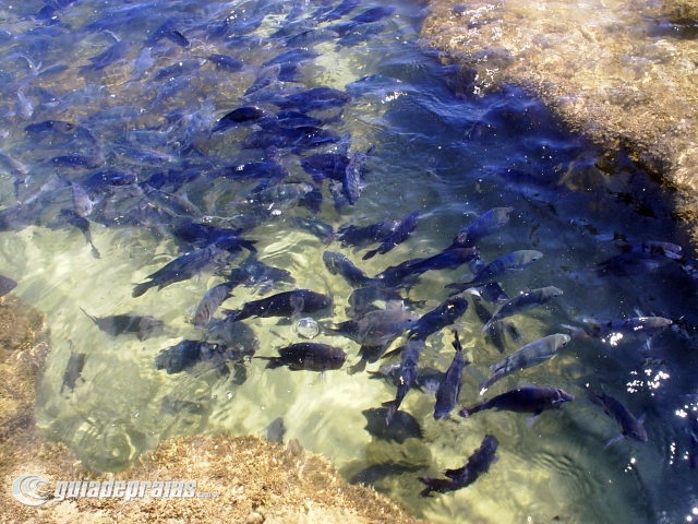 Piscinas em Porto de Galinhas | Foto de g