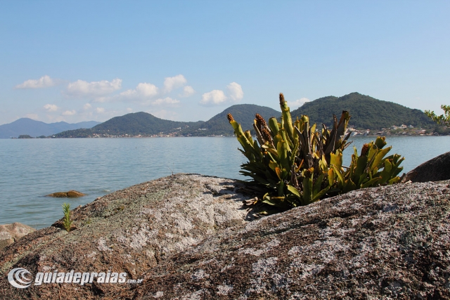 Cacup� | Foto de g