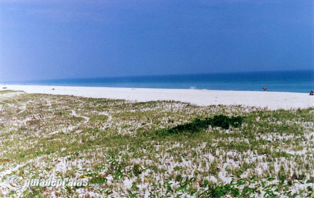 Praia de Saquarema | Foto de g