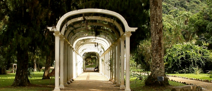 Foto destaque de 