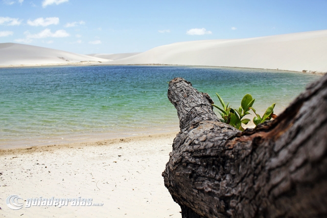 Lagoa do Peixe | Foto de g