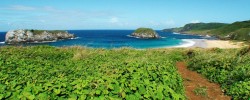 Foto de Galeria - Praia: Leão - Fernando de Noronha - PE