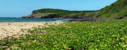 Foto de Baía do Sueste em Fernando de Noronha