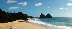 Foto de Bode e Quixabinha Fernando de Noronha PE