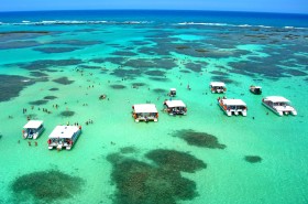 Wallpaper Voando em Maragogi