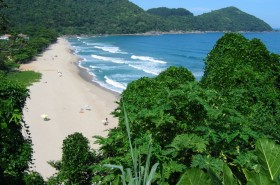 Wallpaper Vermelha do Centro